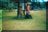 globtrotter16.JPG (127696 byte)