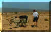 globtrotter6.JPG (30048 byte)